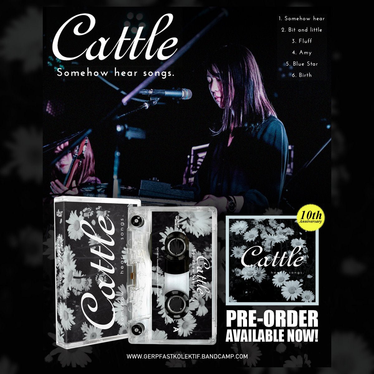 Cattle - Somehow Hear Songs