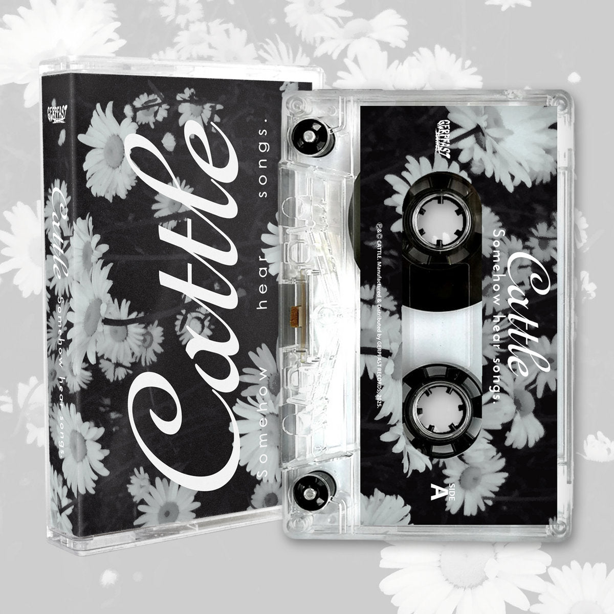 Cattle - Somehow Hear Songs