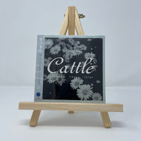 Cattle - Somehow Hear Songs