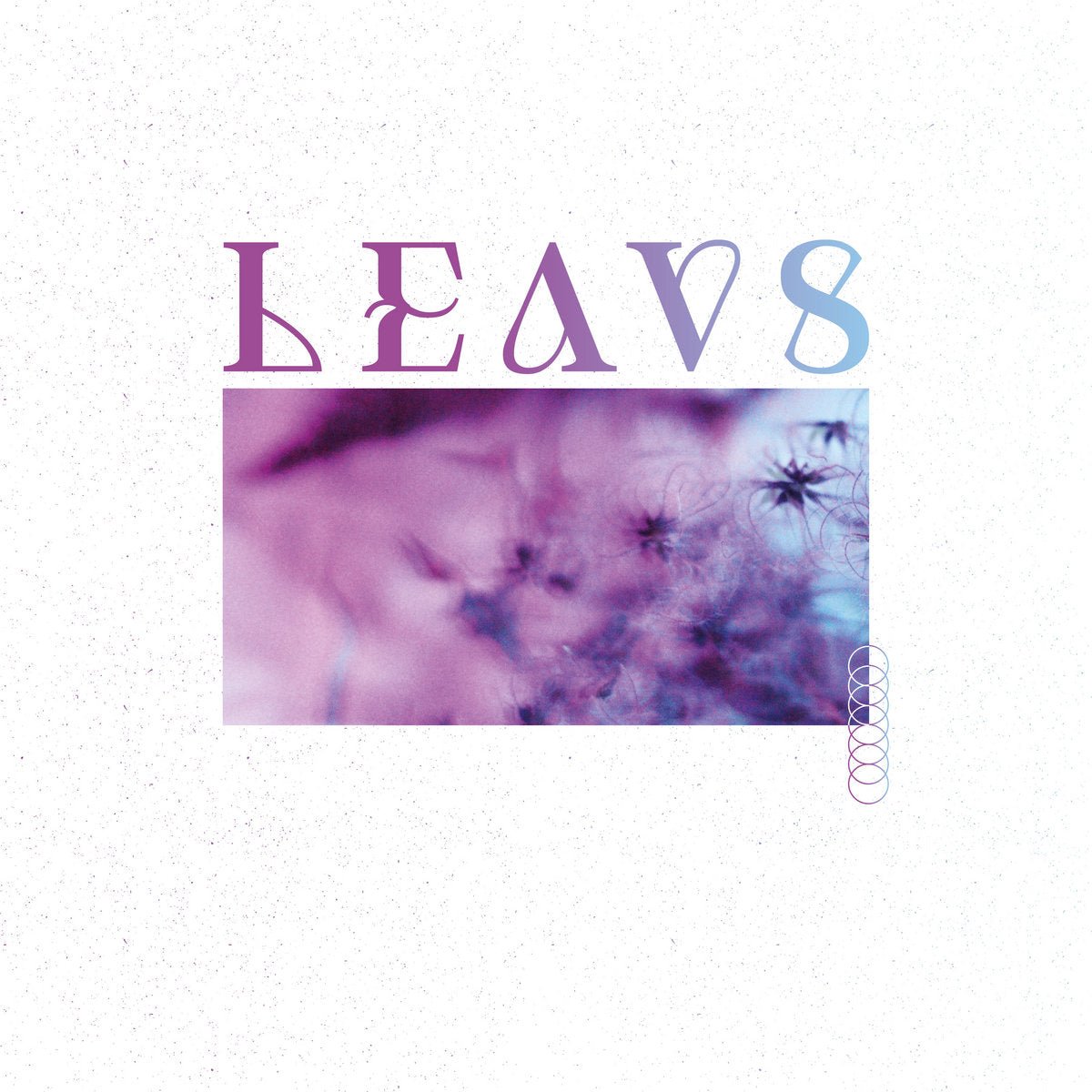 LEAVS - Natura Universal [Vinyl] – Clever Eagle Records