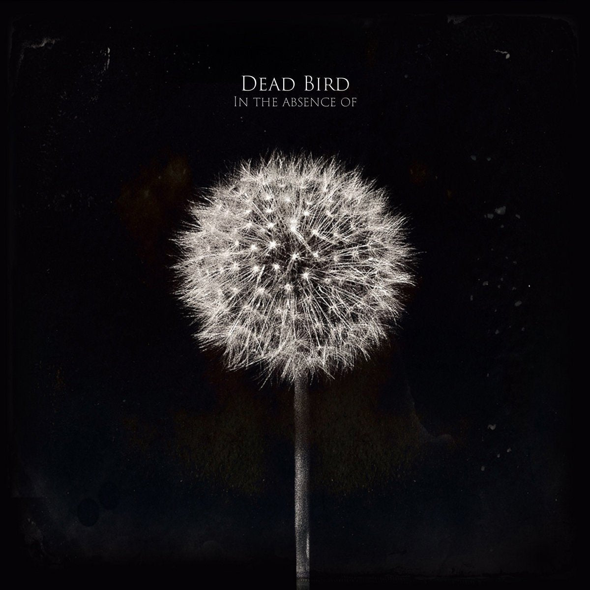 Dead Bird - In the Absence of [Vinyl]